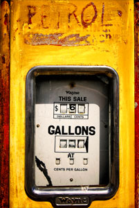 Petrol (Yellow Detail)