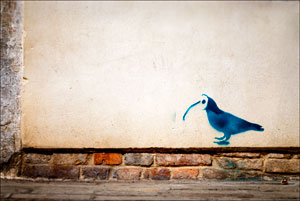 A Bird In Venice